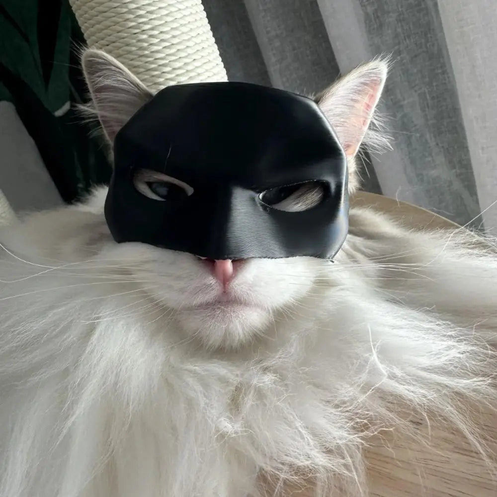 The Original Batcat Mask™ - The Viral Batman Mask For Your Cat